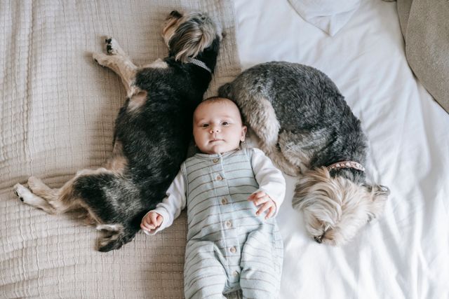 Article image: Baby Photos with Family Pets: Safety and Staging Guide